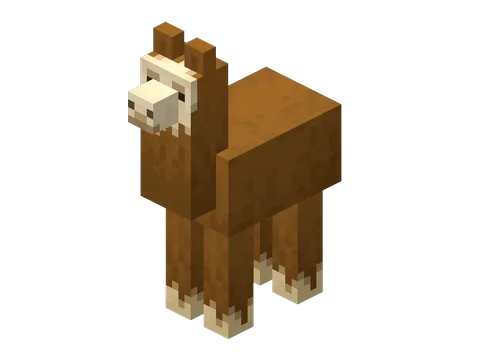 Llama